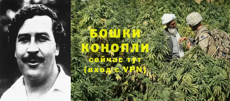 Конопля SATIVA & INDICA  Кедровый 